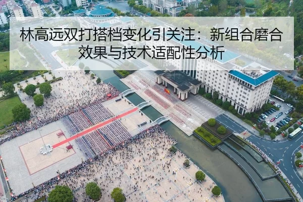 林高远双打搭档变化引关注：新组合磨合效果与技术适配性分析