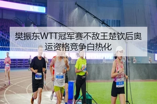 樊振东WTT冠军赛不敌王楚钦后奥运资格竞争白热化